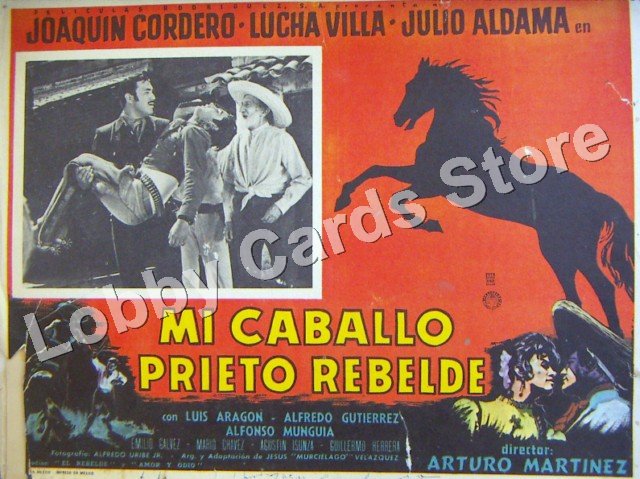 JULIO ALDAMA/MI CABALLO PRIETO REBELDE